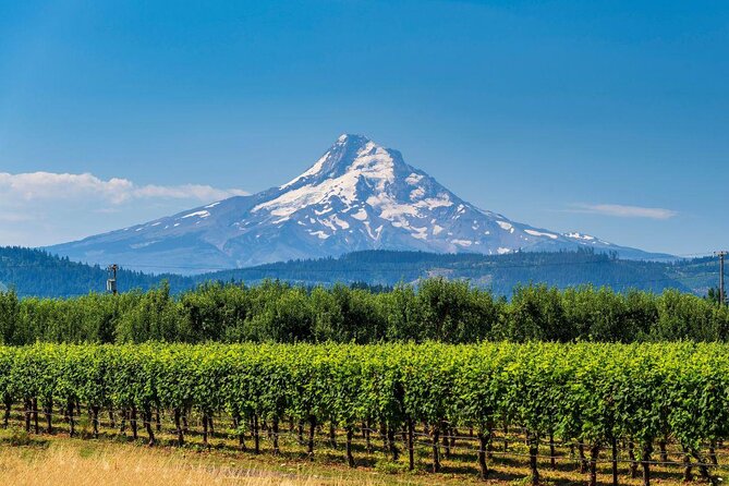 Mt. Hood & Multnomah Falls Scenic Flight by Envi Adventures