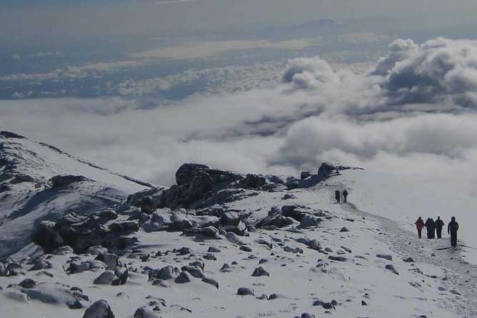 Mt Kilimanjaro Trek, 6 Days – Umbwe Route