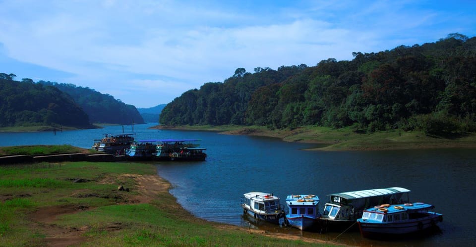 Munnar Hill Station With Periyar Wildlife Tour (03 Days) - Tour Overview