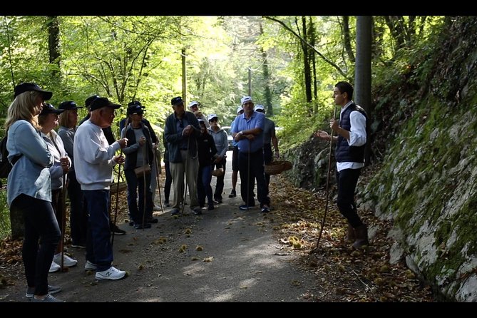 Mushroom And Truffle Hunting