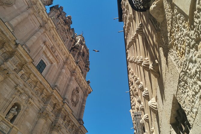 Must See Salamanca Walking Tour (Could Be Billingual)