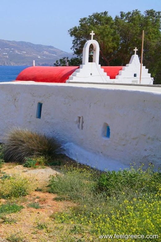 Mykonos: Half Day Tour in a Luxury Van - Tour Overview and Details