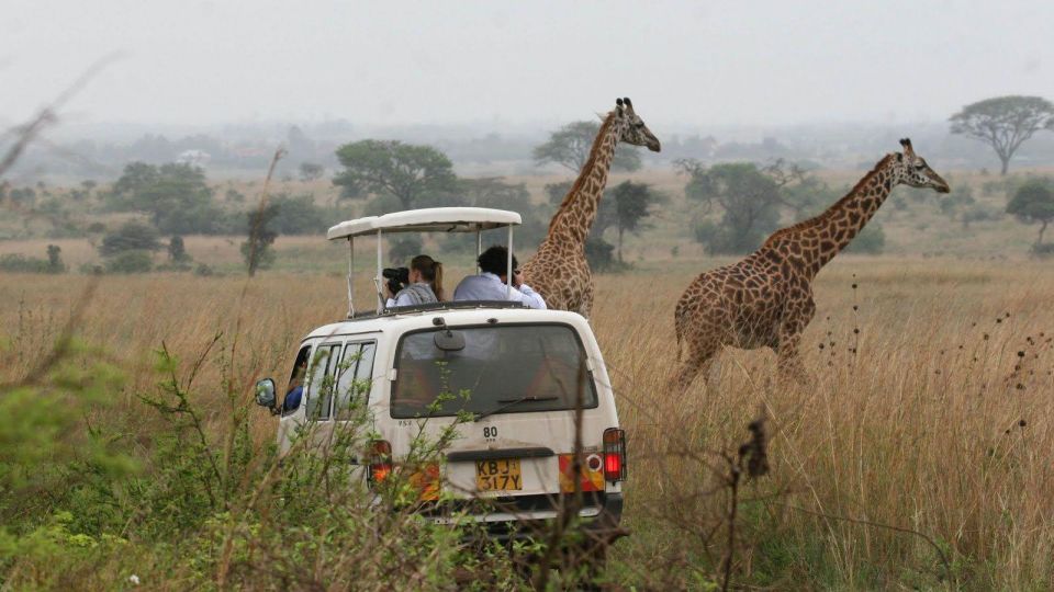 Nairobi National Park Morning or Evening Game Drive - Overview of Nairobi National Park