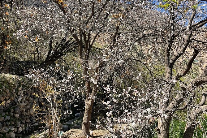 Nakhal Hotspring and Wakan Village Private Full Day Tour