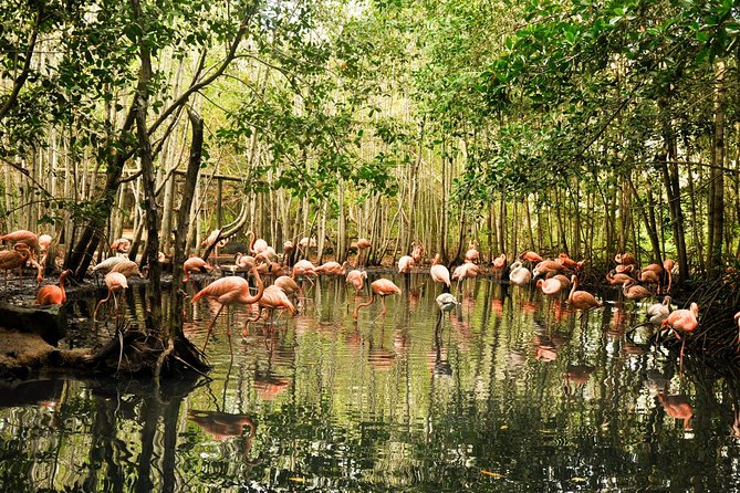 National Aviary Private From Cartagena - Tour Details