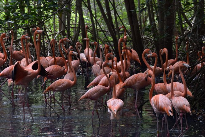 National Aviary