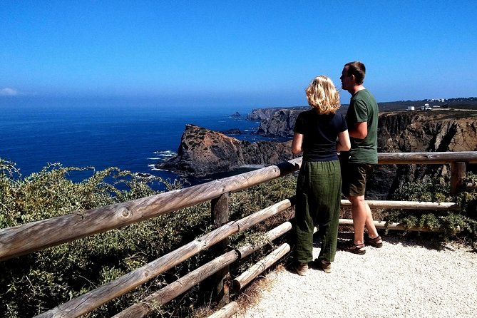 National Park West Coast Half Day Tour From Lagos