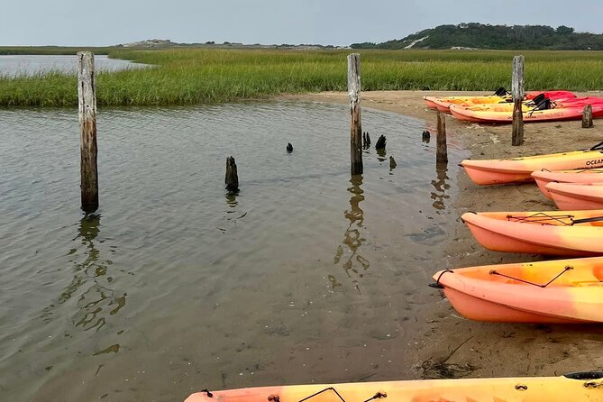 National Seashore Tour With Guided Hike
