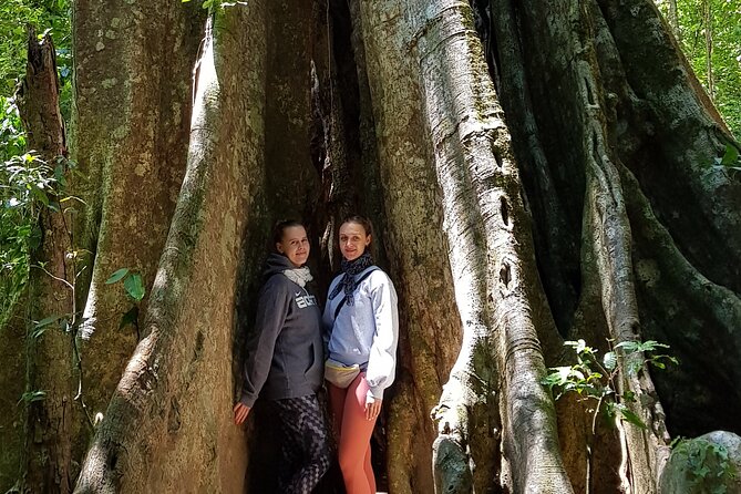 4 Best Historical Tours In Monteverde