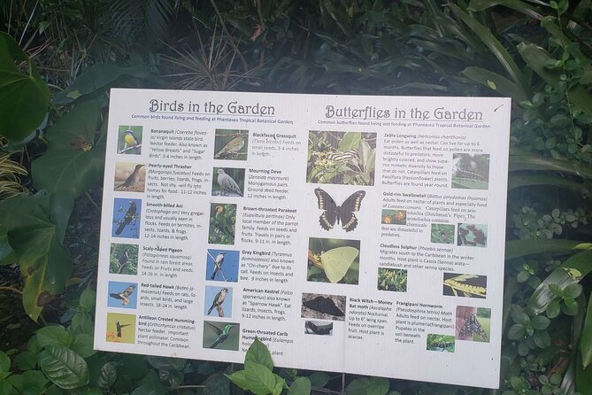 Nature and Sightseeing Tour at Phantasea Tropical Botanical Garden