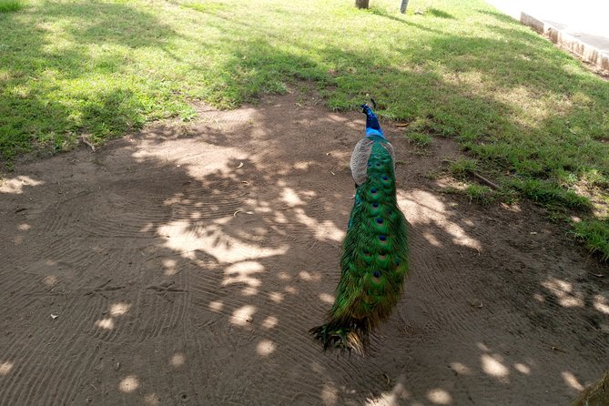 Nature Thrills