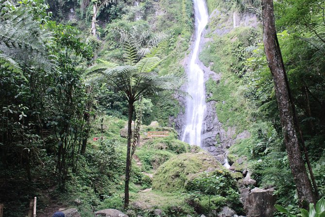 Natures Healing Bandung Country Side