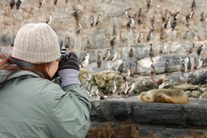 Navigation Beagle Channel Isla De Lobos