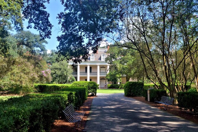 N’Awlins Luxury: Laura, Oak Alley or Whitney Plantation Tour W/Transportation