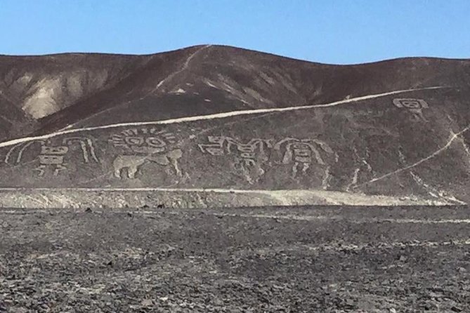 Nazca and Palpa Lines One-Hour Flight