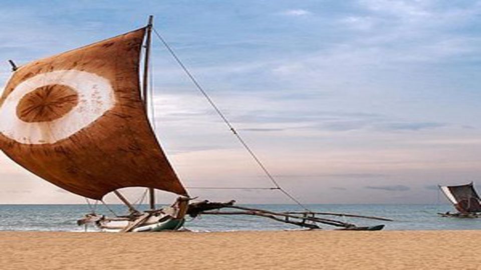 Negombo City Highlights With Traditional Catamaran Ride - Tour Overview and Pricing