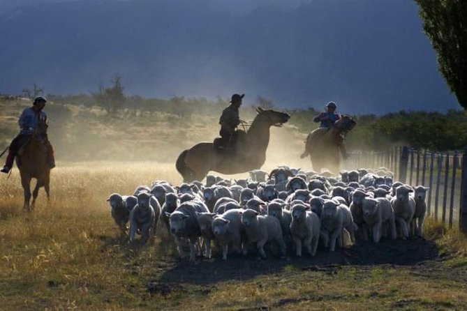 Nibepo Aike Ranch With Horseback Riding - El Calafate - Included Amenities