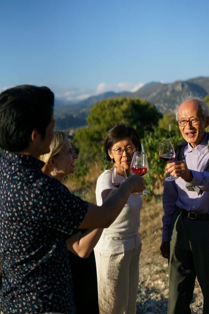 Nice: Vineyard Tour With Wine Tasting - Tour Overview