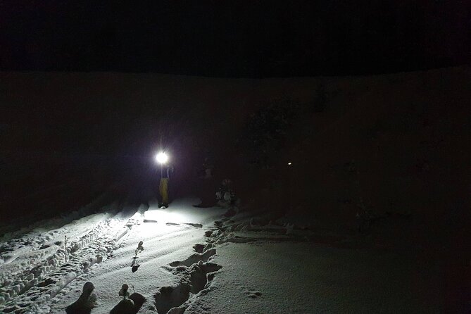 Night Time Ski Tour With Northern Lights Potential