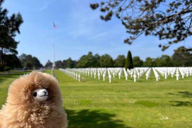 Normandy D-Day Landing Beaches & Caen Memorial Private Tour - Booking Information