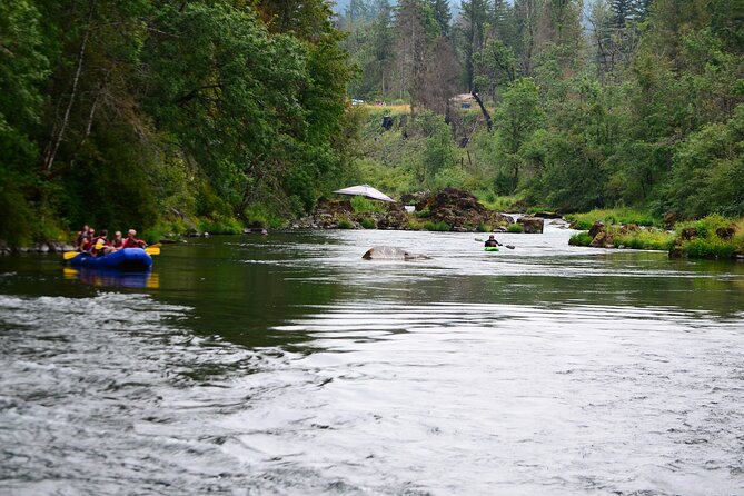 North Santiam Whitewater Rafting