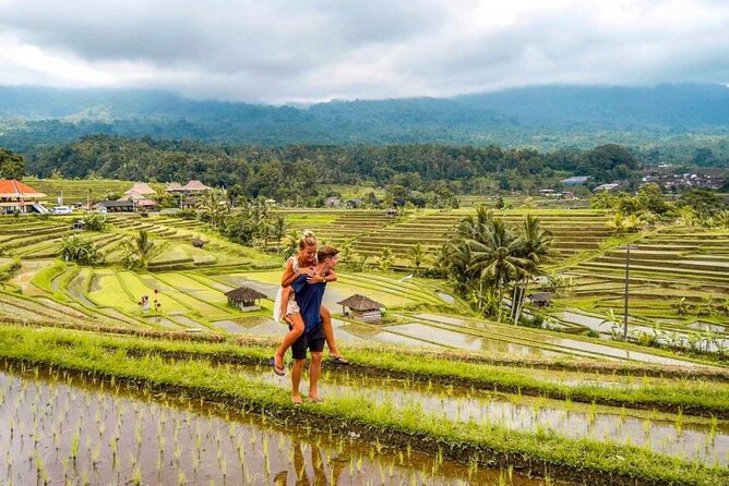 Northern Bali Tour - Private Full Day Tour - All Inclusive