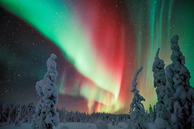 Northern Lights Photography Tour From Rovaniemi