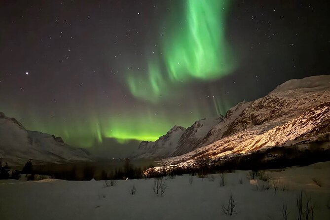 Northern Lights Tour With Hot Food and Drinks in Tromso