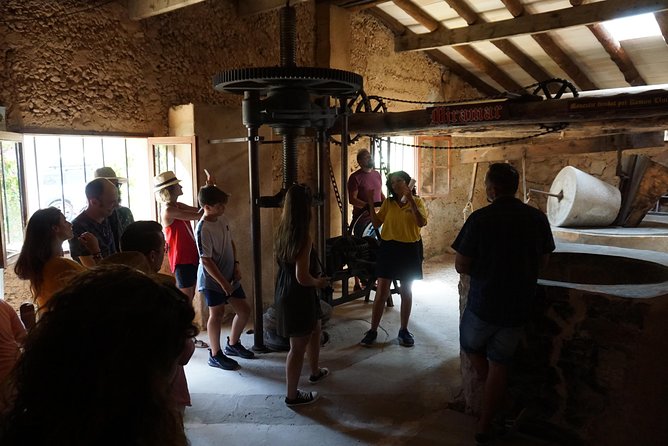 Northwest Mallorca Half-Day Food, History, Philosophy Tour - Palma De Mallorca