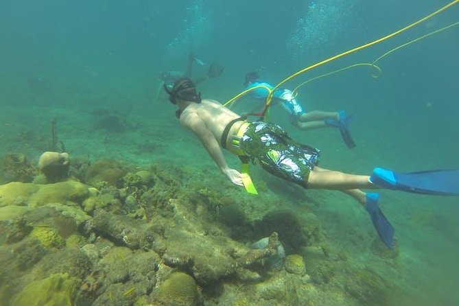 OCTOPUS DIVING (Hookah Diving) NO Experience Needed