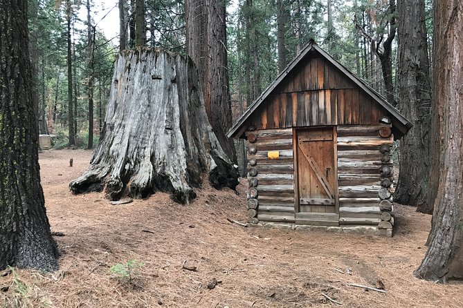 Off-Road Giant Sequoia 4×4 Tour