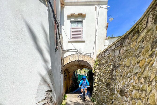 Oil and Lemon - Sorrento E-Bike Tour Experience - Overview of the Tour