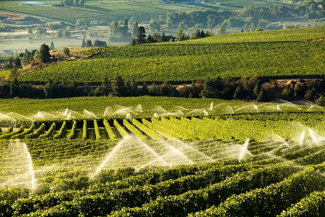 Okanagan Falls Wine Experience From Vernon - 4 Wineries