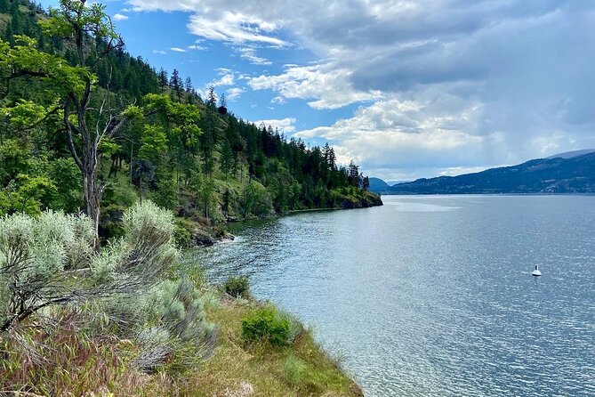 Okanagan Lake Views Guided E-Bike Tour With Picnic