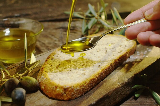 Olive Oil Private Tour in Portugal