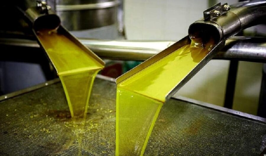 Olive Oil Tasting 3-Hour Trip From Chania Souda Cruise Port - Tour Overview and Pricing