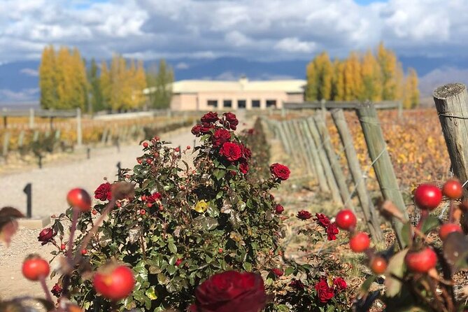 One Day Grapes on the Edge. Uco Valley Wine Tour - Tour Highlights