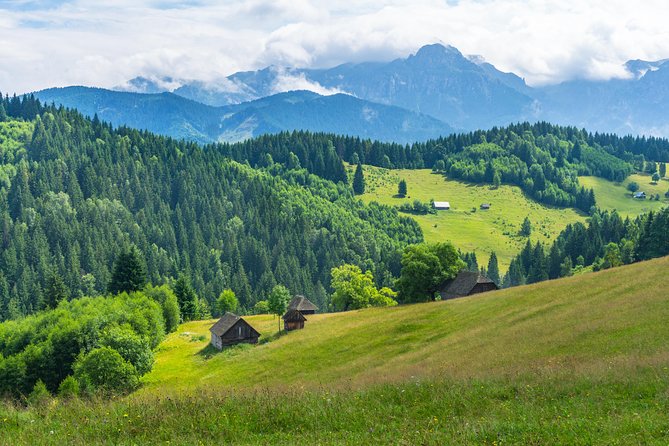 2 Best National Park Tours In Bucharest