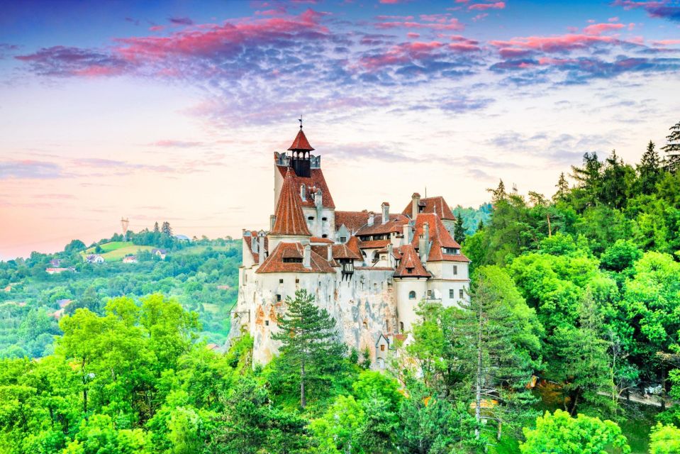 One Day Trip Bear Sanctuary, Dracula Castle - Trip Overview and Pricing