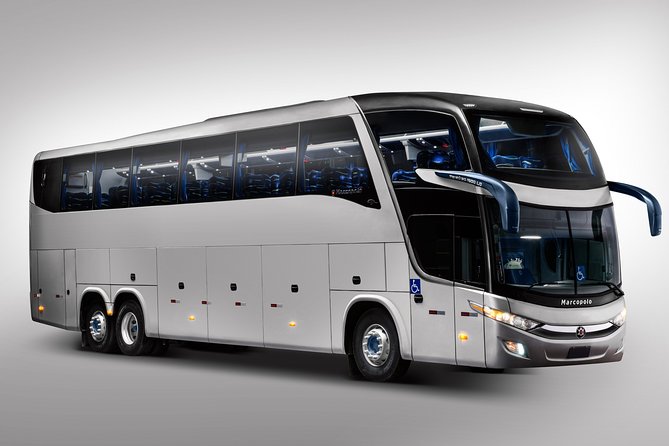 One Way Shared Transfer From Airport to Hotels in Manaus