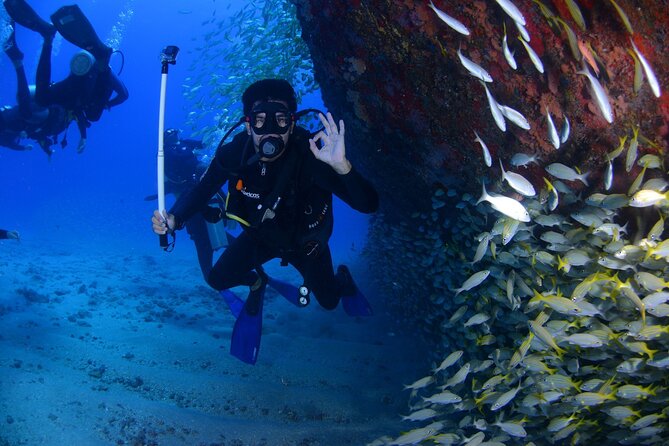 Open Water Diver Course in Arrabida Natural Park (Near Lisbon)