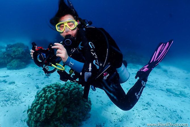 Open Water Scuba Certifiication Course With Beach Dives - Course Overview