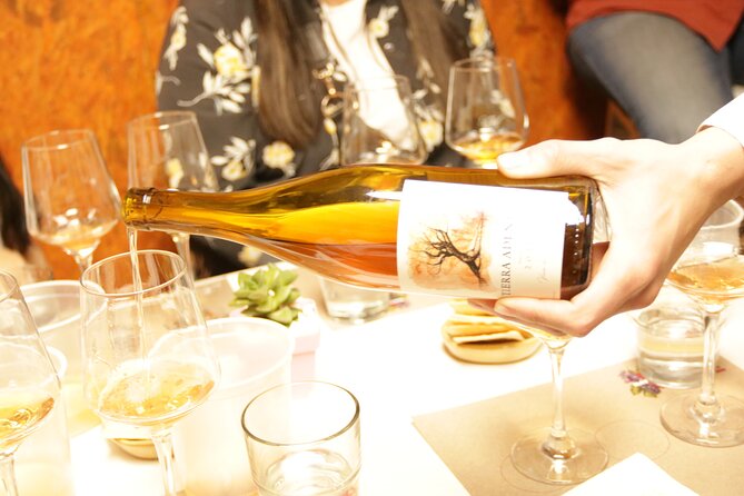 Organic, Biodynamic and Natural Wine Tasting Class