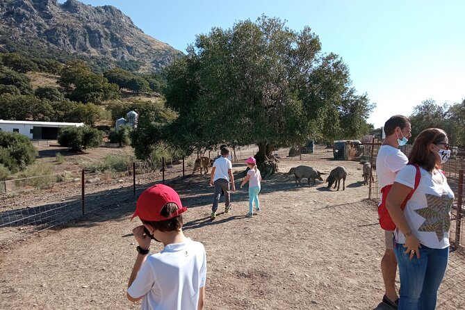 Organic Iberian Ham, Farm Visit and Premium Tasting! - Tasting Menu Highlights