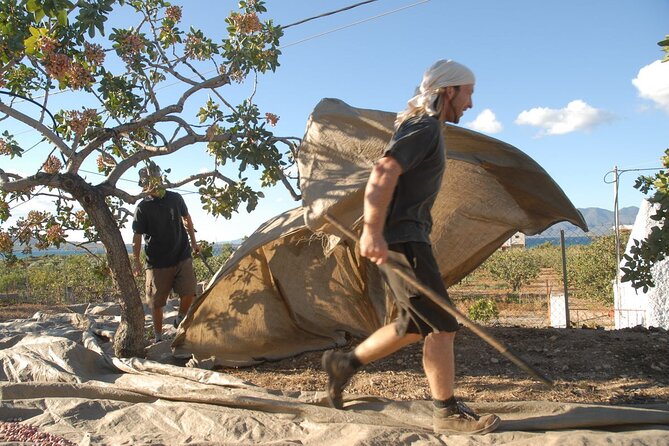 Organic Pistachio Orchard Tour