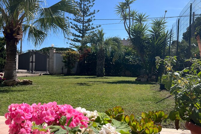 Ortigia Market Tour and Cooking Lesson in a Villa With the Garden
