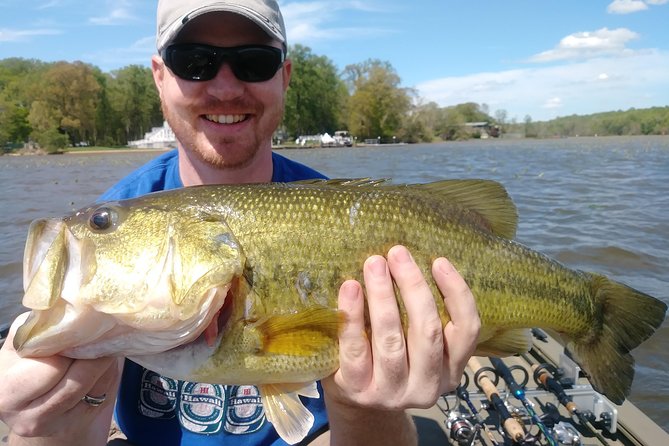 Osprey Fishing Charters: Potomac River Fishing