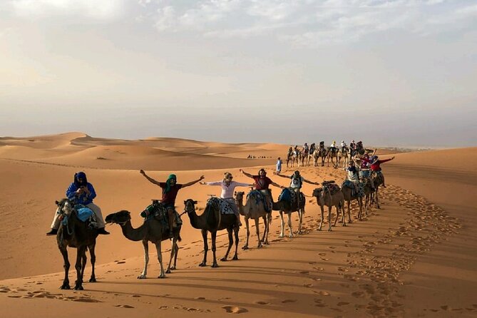 Overnight Camel Trekking in Merzouga Desert/ Erg Chebbi - Overview of the Trekking Experience