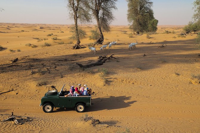 Overnight Desert Safari - Vintage Land Rovers & Traditional Activities - Vintage Land Rover Adventure