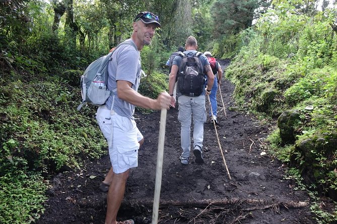 Pacaya Volcano Overnight Tour From Antigua